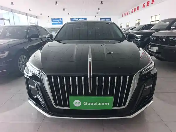 Hongqi H5 2024