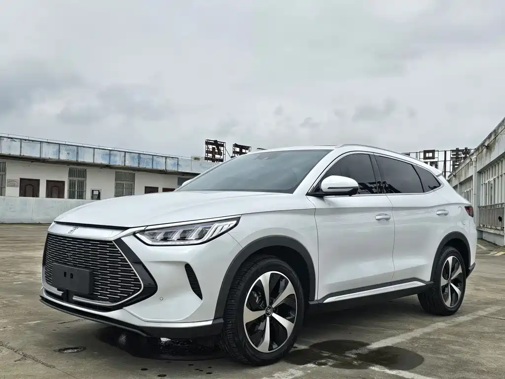 BYD PLUS New Energy 2022 — фото 1