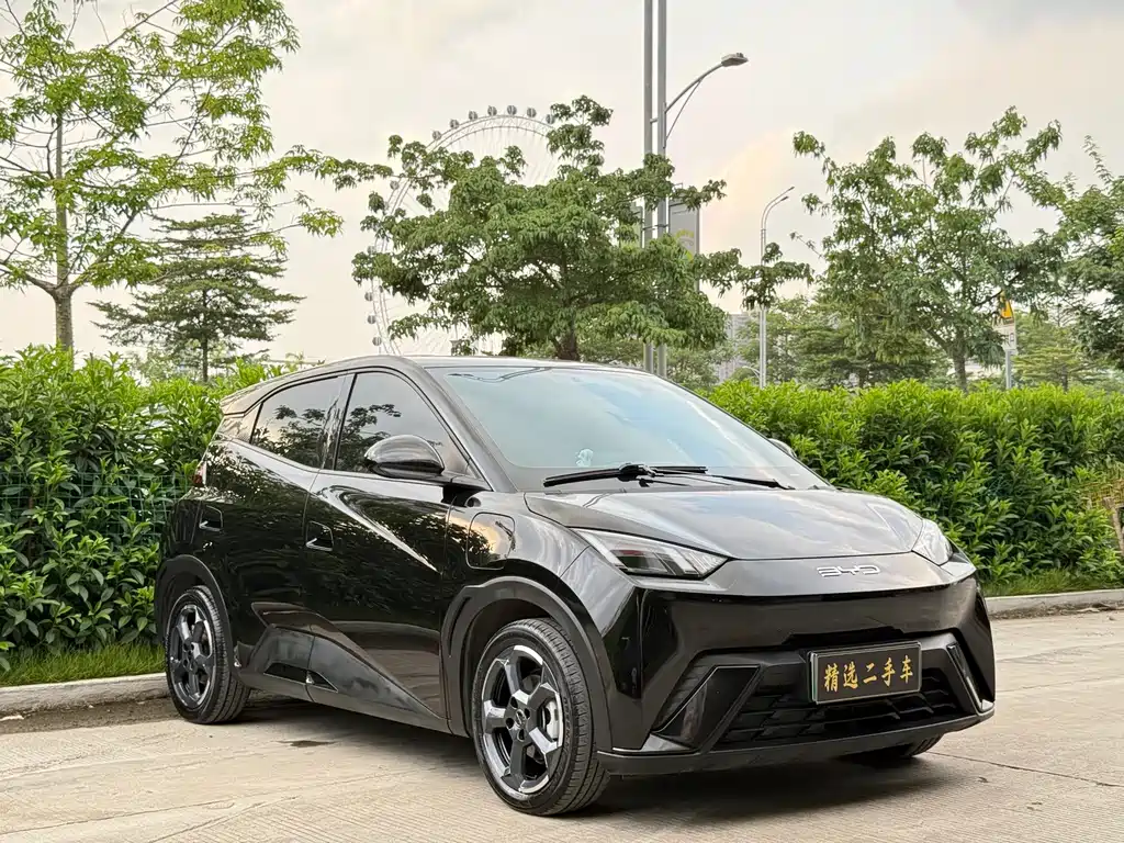 BYD Seagull 2024