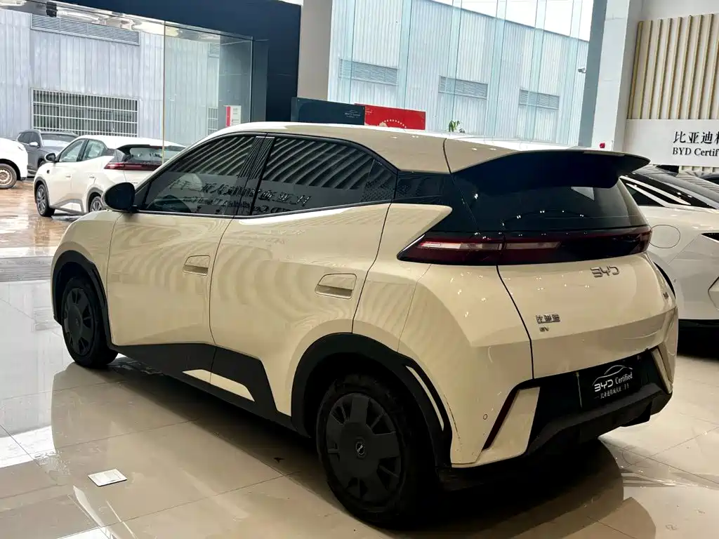 BYD Seagull 2024