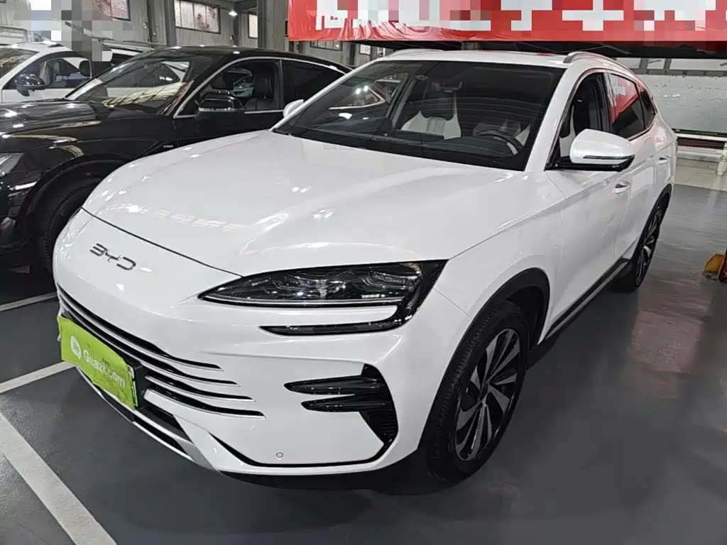 BYD PLUS New Energy 2024 — фото 2