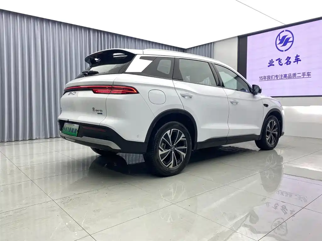 BYD Pro New Energy 2025 — фото 4