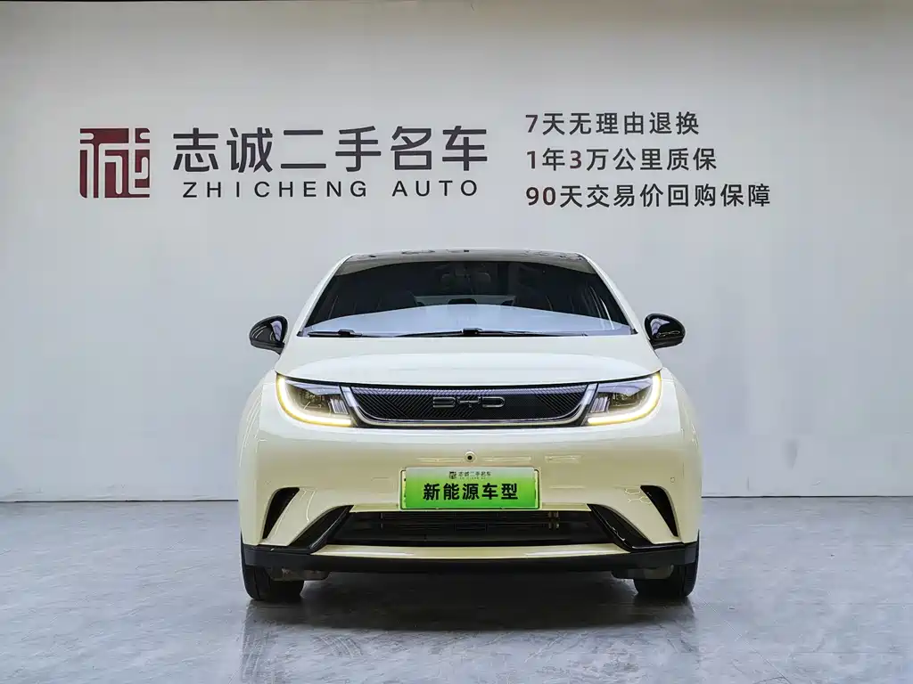 BYD Dolphin 2024