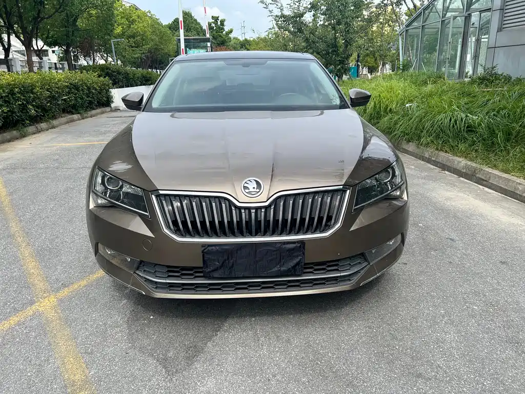 Skoda Speedy 2017