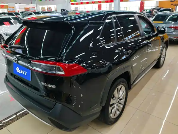 Toyota Wildlander 2022