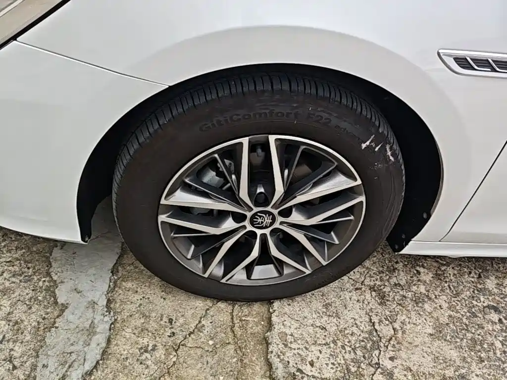 BYD Qin PLUS 2021 — фото 23
