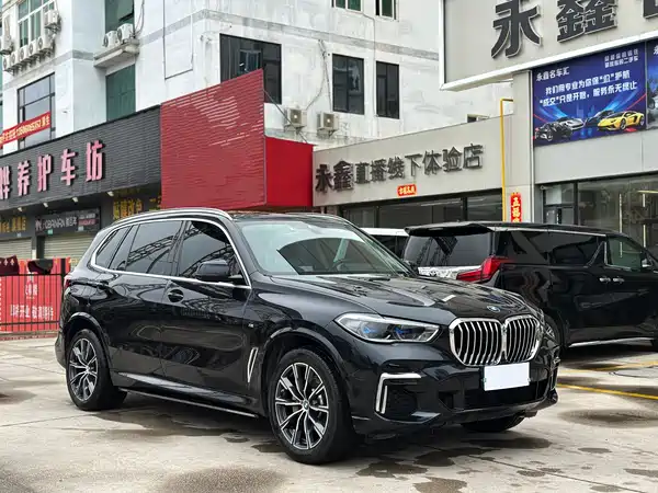 BMW X5 2022