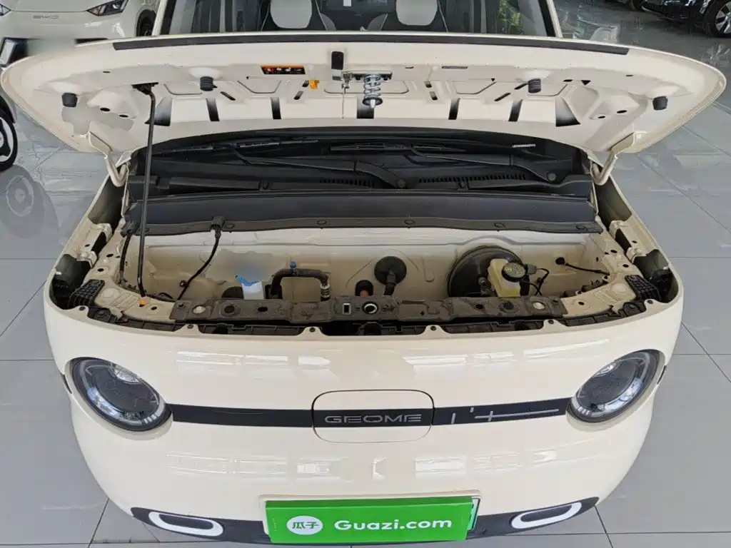 Geely Galaxy Panda 2025 — фото 20