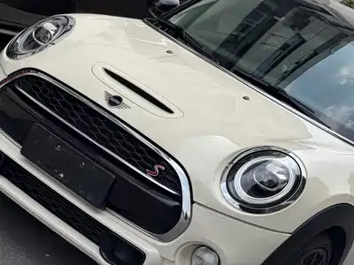 MINI MINI 2019