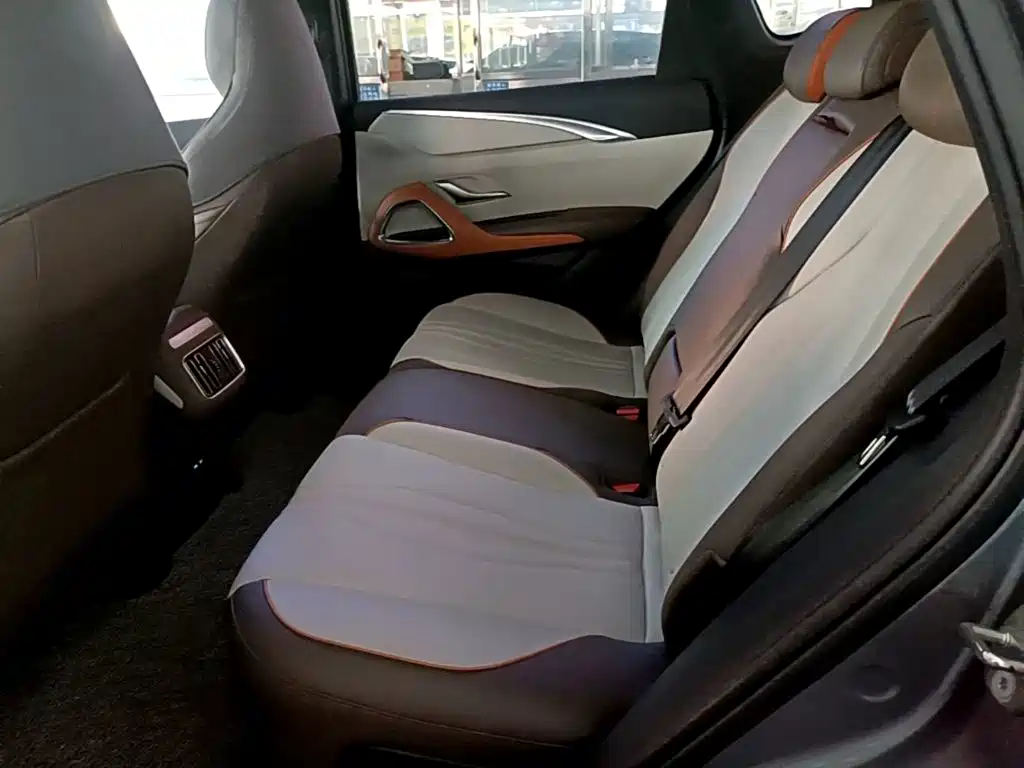 BYD Pro New Energy 2023 — фото 17