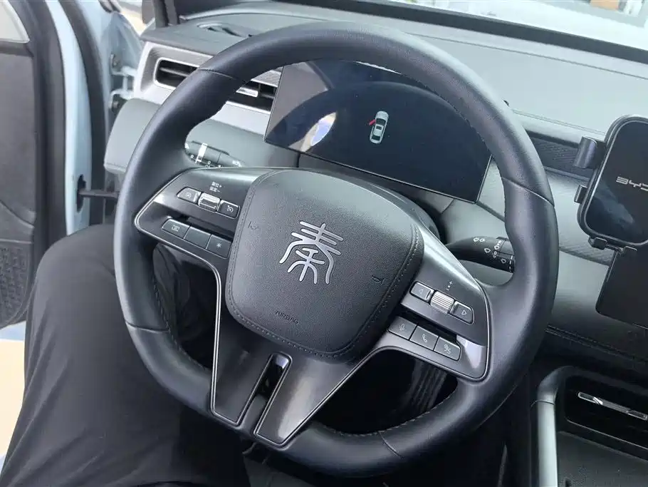 BYD Qin PLUS 2025 — фото 15