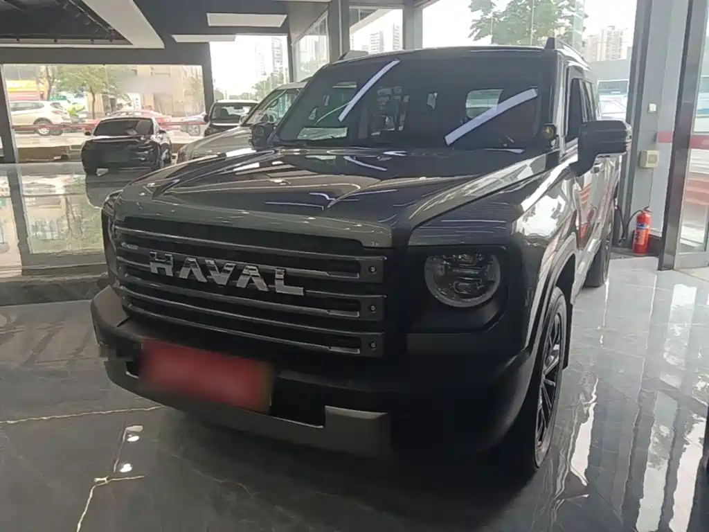 Haval Menglong New Energy 2024