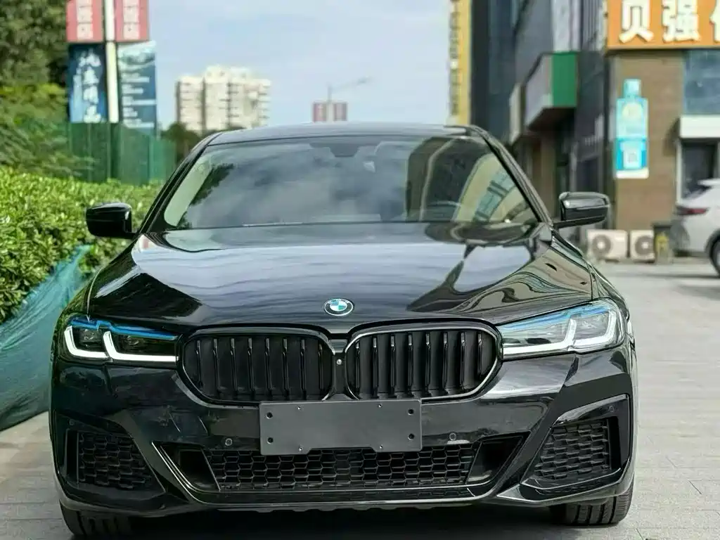 BMW 5 Series 2019