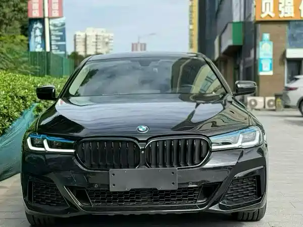 BMW 5 Series 2019