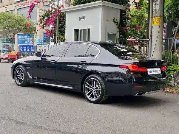 BMW 5 Series New Energy 2021