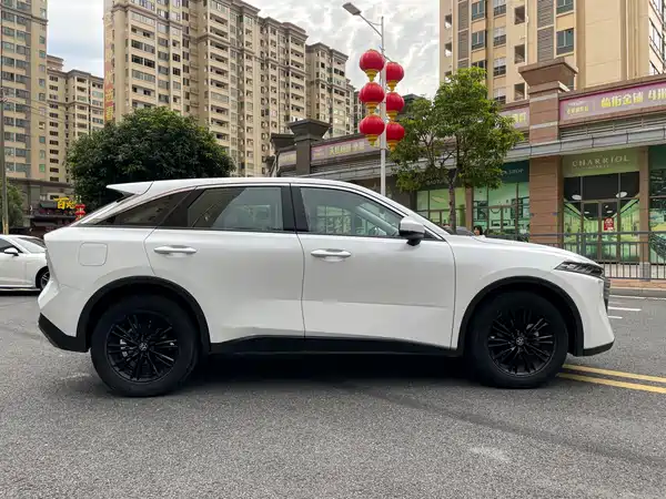 Venucia Big V 2023