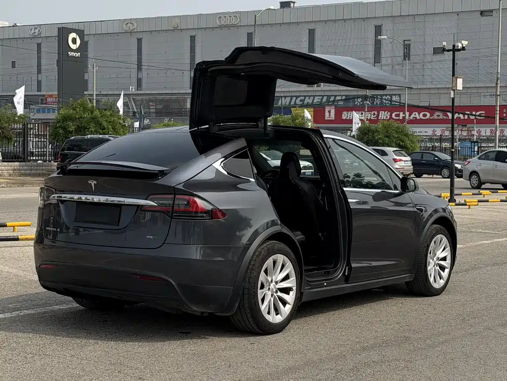 Tesla Model X 2017 — фото 9