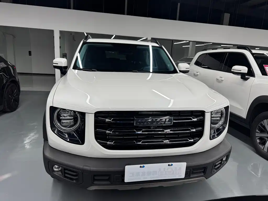 Haval Big Dog 2021