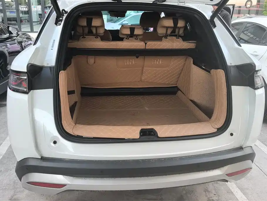 BYD L DM-i 2024 — фото 4