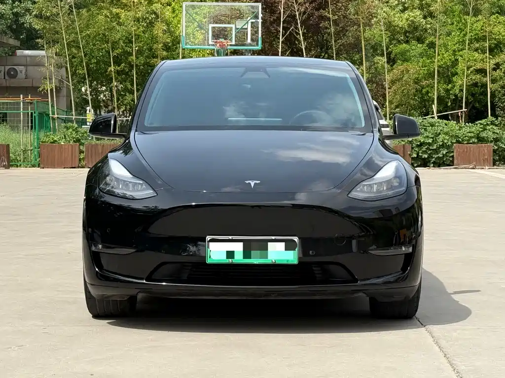 Tesla Model Y 2021 — фото 2