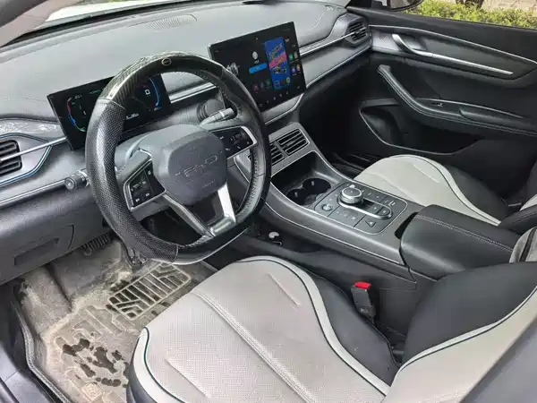 BYD Destroyer 05 2024