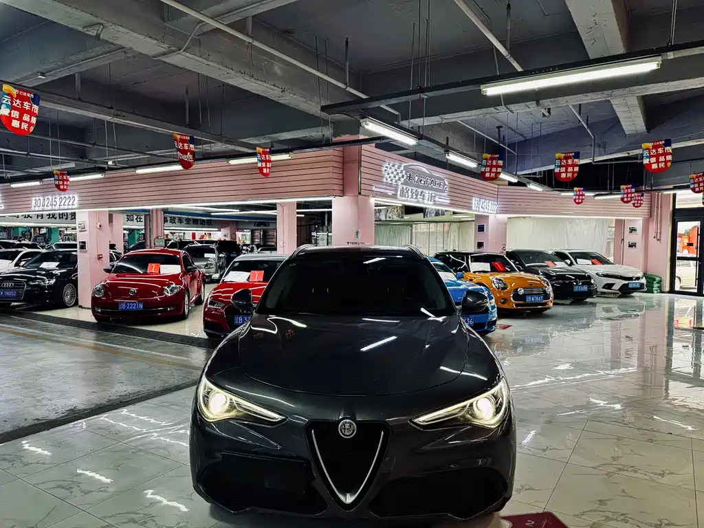 Alfa Romeo Stelvio 2019 — фото 12