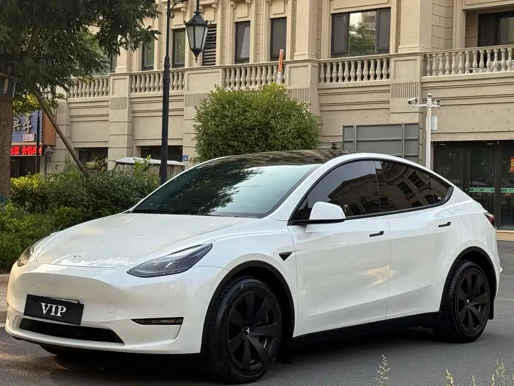 Tesla Model Y 2023 — фото 1