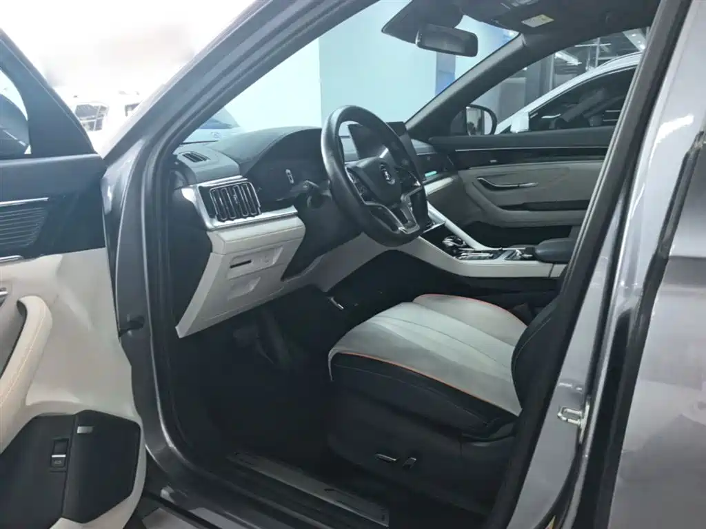 BYD PLUS New Energy 2023 — фото 16