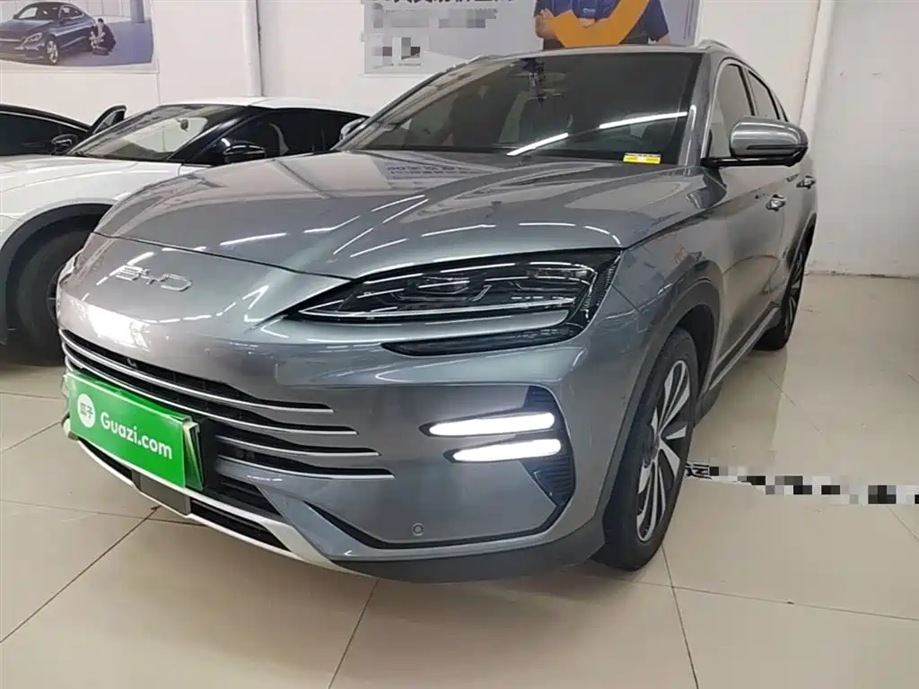 BYD PLUS New Energy 2024 — фото 2