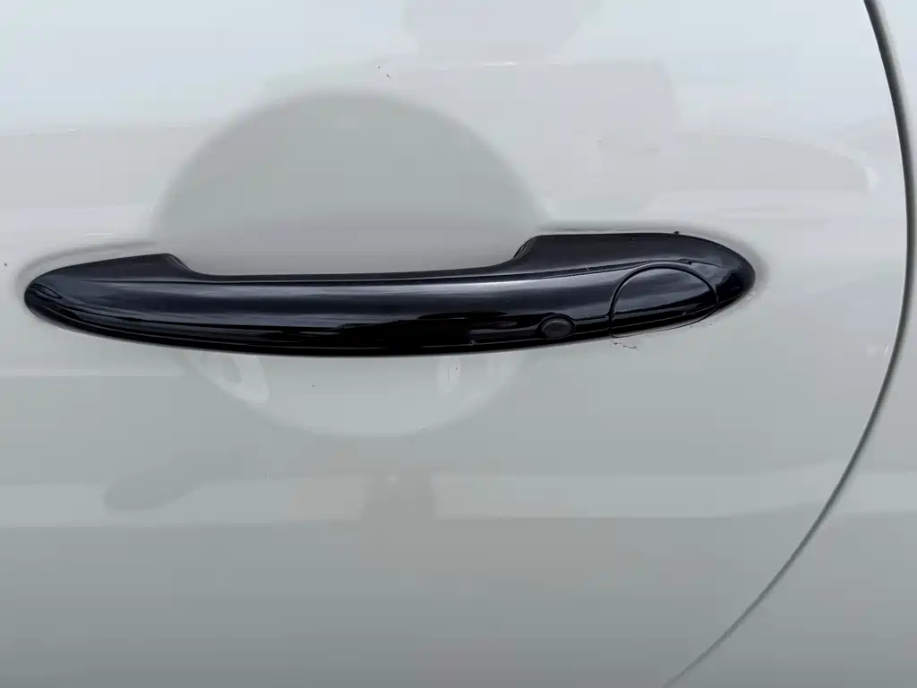 MINI MINI 2022