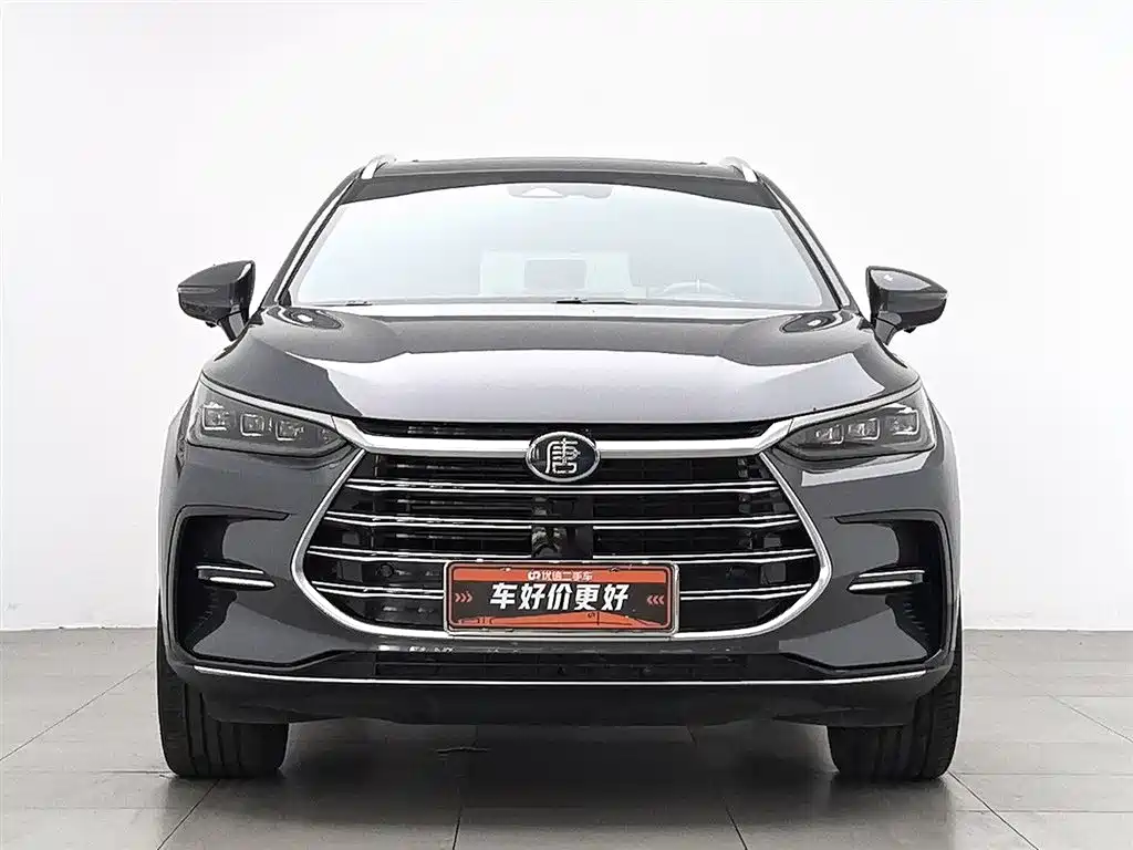 BYD Tang New Energy 2023 — фото 3