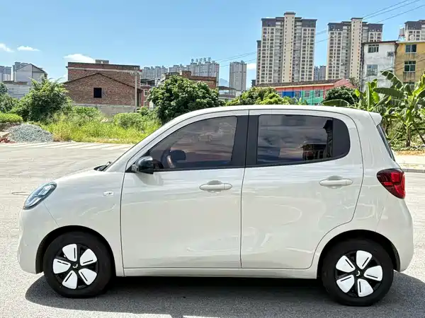 Wuling Hongguang MINIEV 2024
