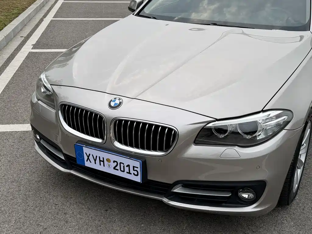 BMW 5 Series 2015 — фото 15