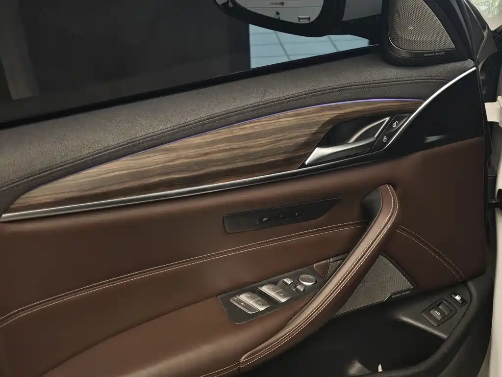 BMW 5 Series New Energy 2018