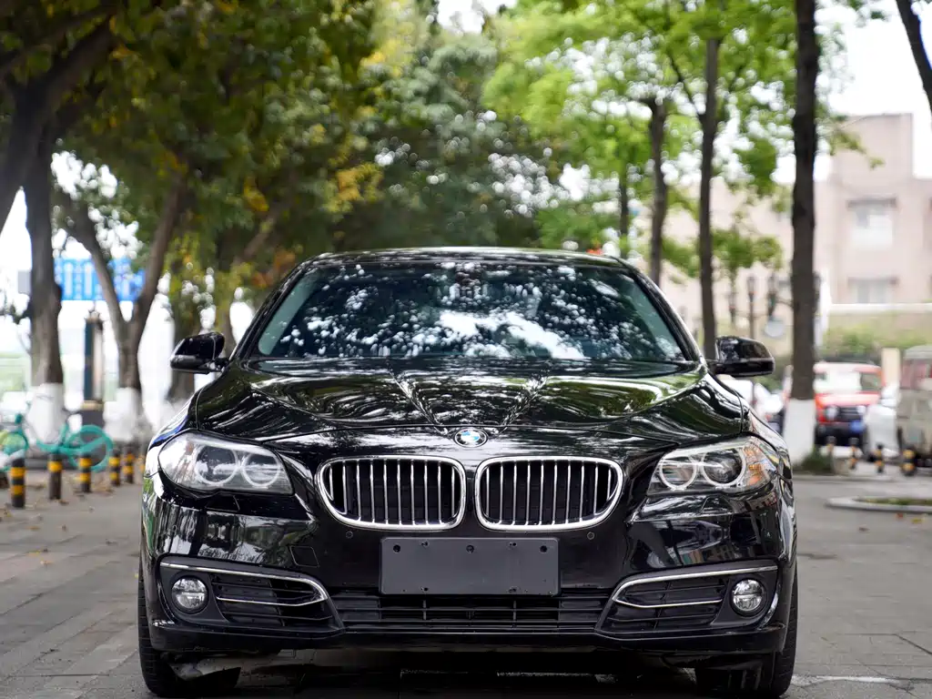 BMW 5 Series 2015 — фото 1