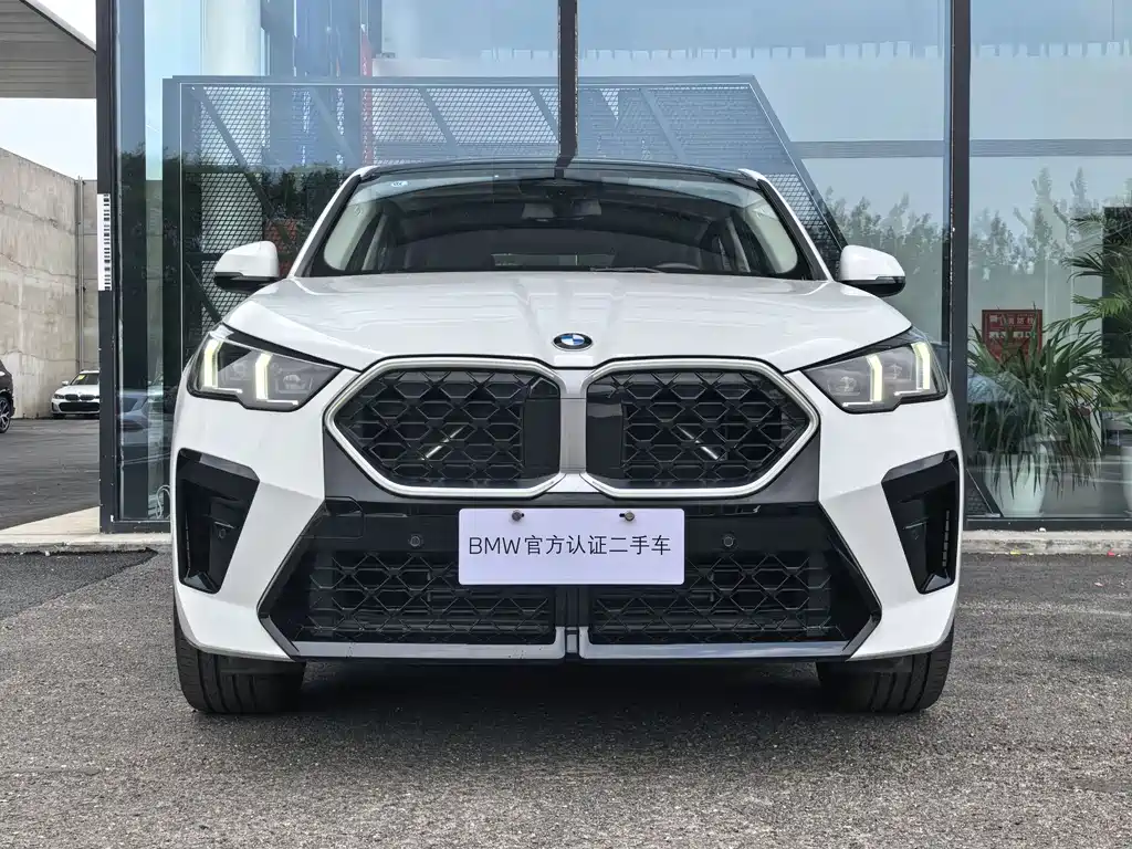 BMW X2 2025