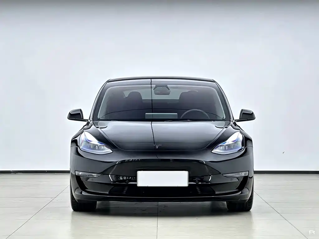 Tesla Model 3 2021 — фото 2