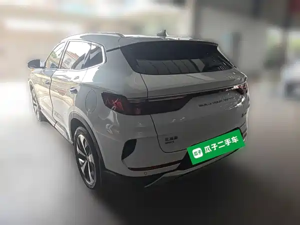 BYD Song PLUS New Energy 2022