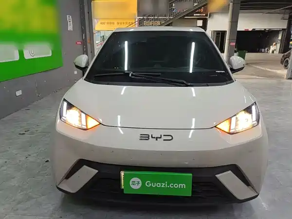 BYD Seagull 2024