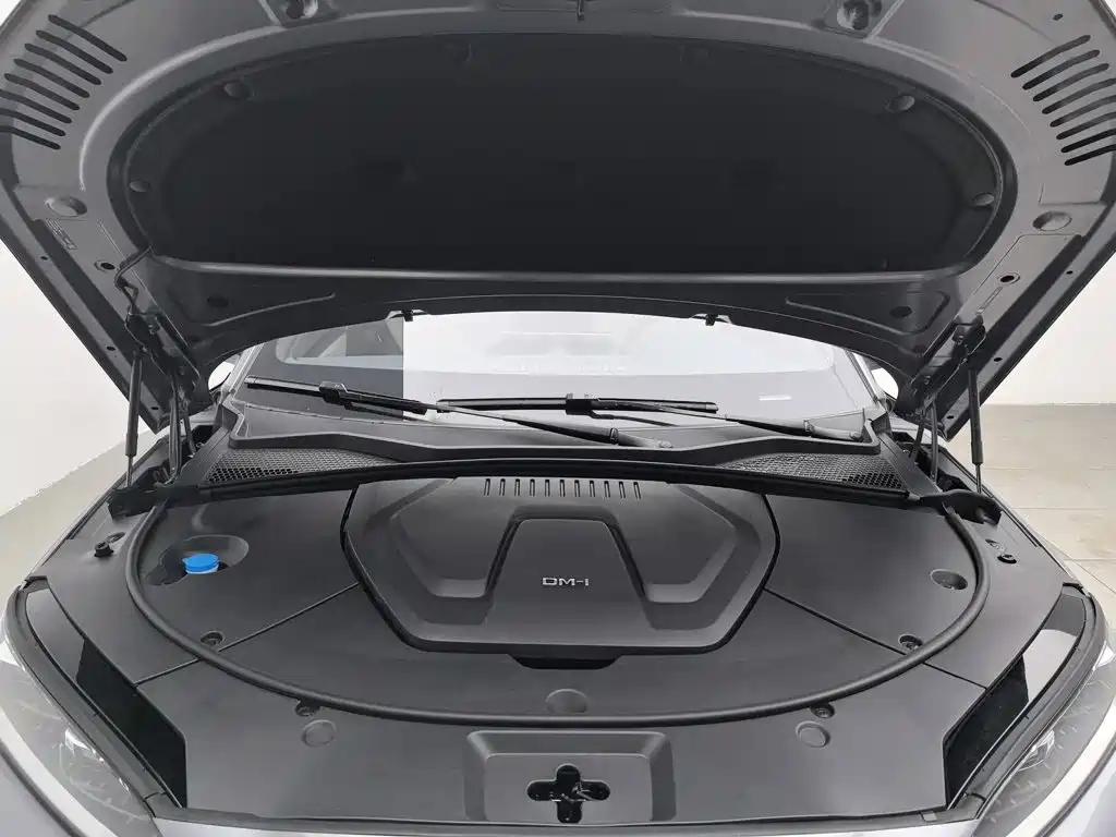 BYD Song PLUS New Energy 2024 — фото 6