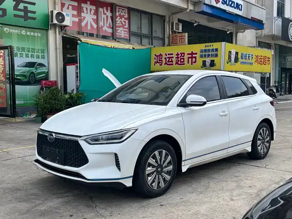 BYD e2 2019