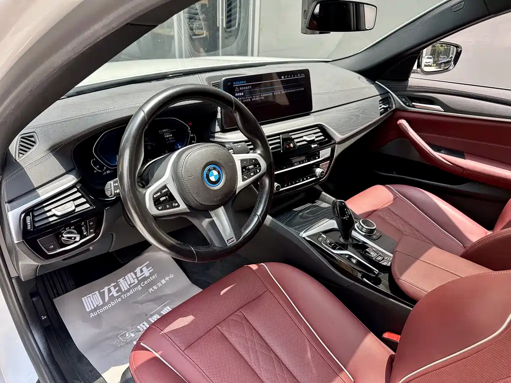 BMW 5 Series New Energy 2022