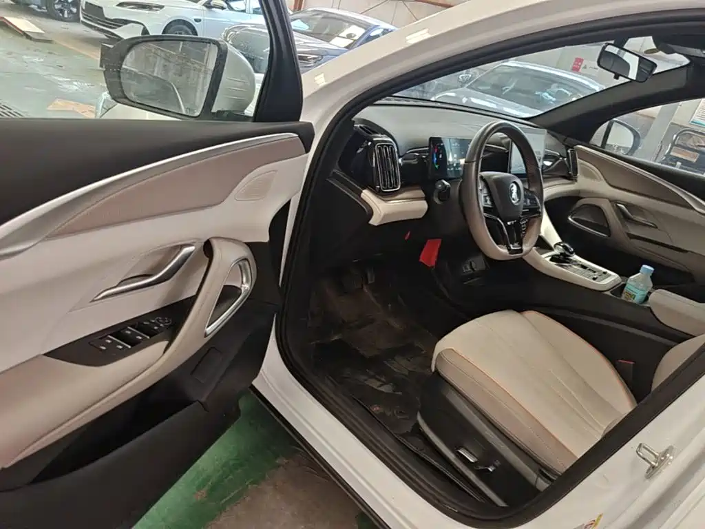 BYD Song Pro New Energy 2024 — фото 16