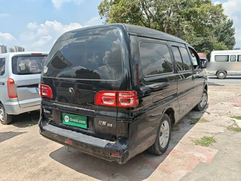 Fengxing Lingzhi 2022