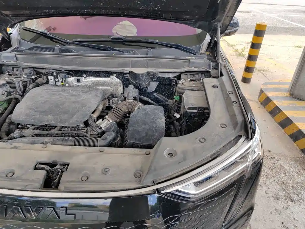 Haval Xiaolong MAX 2023 — фото 23