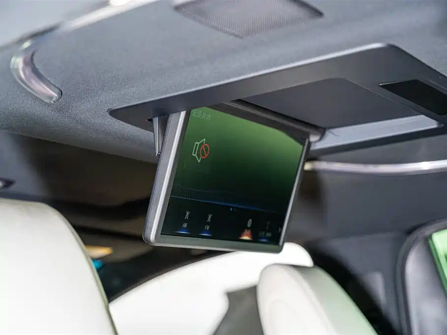 Lexus LM 2020 — фото 14