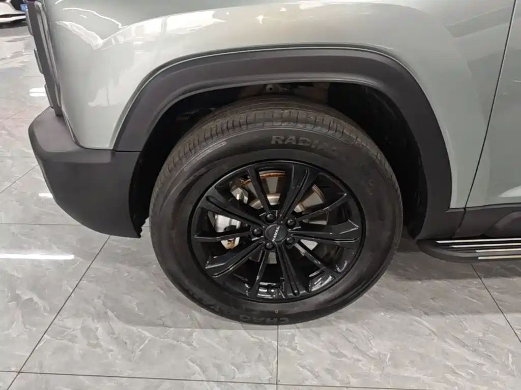 Haval Raptors New Energy 2024 — фото 22