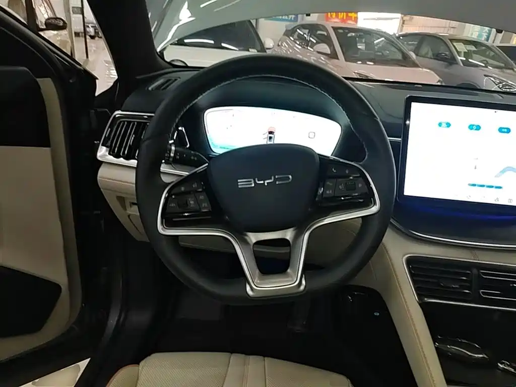 BYD PLUS New Energy 2024 — фото 11