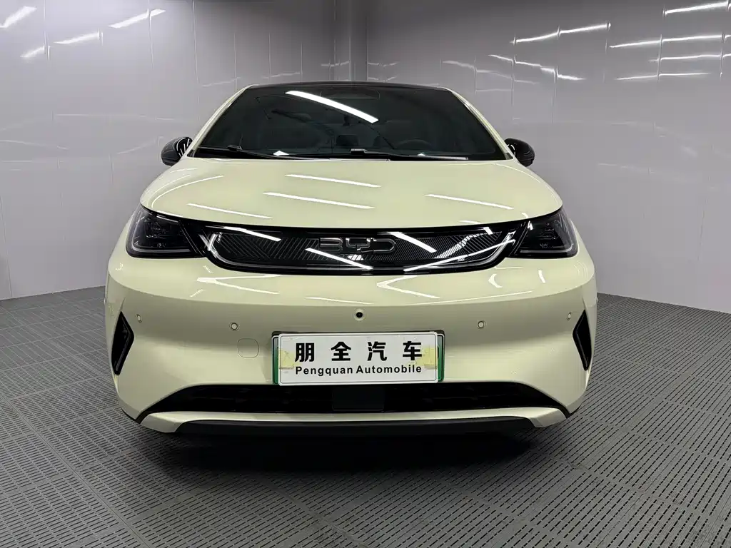 BYD Dolphin 2025