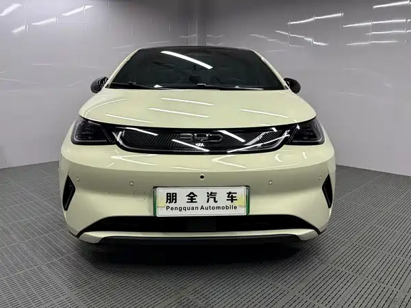 BYD Dolphin 2025